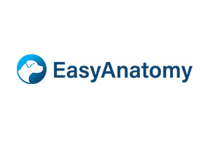 easyanotomy